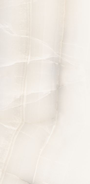 Akoya White Polished 12 x 24